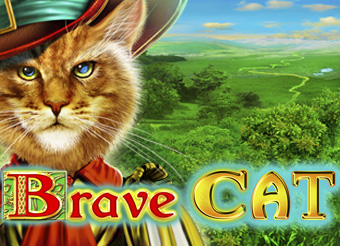 Brave Cat